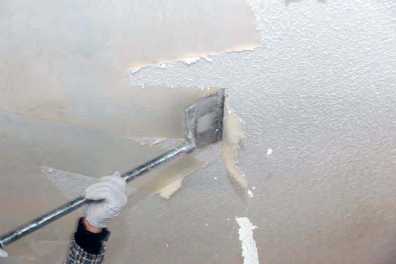 Local Popcorn Ceiling Removal in Newark, DE