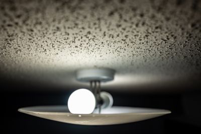 Local Popcorn Ceiling Repair in Burleson, TX
