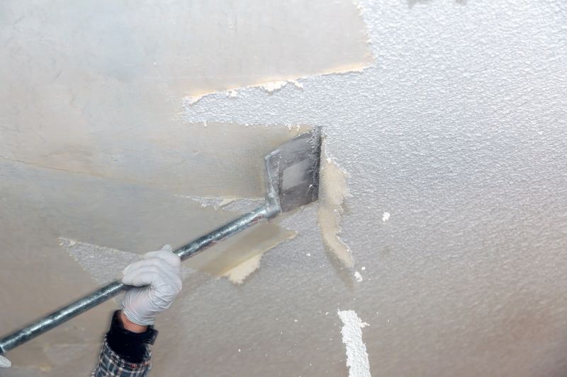 Local Popcorn Ceiling Repair in Minnetonka, MN