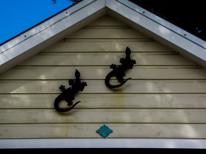 Local Shiplap Painting in Plymouth, MA