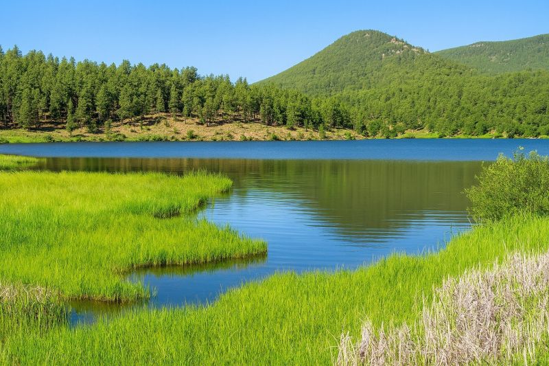 Local Apartment Interior Painting in Evergreen, CO