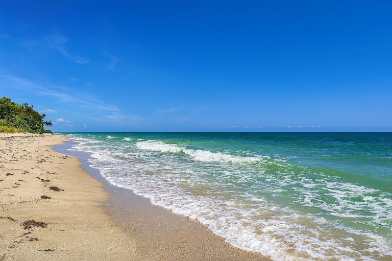 Local Apartment Interior Painting in Dunedin, FL