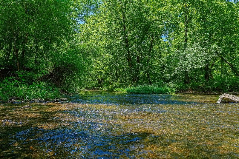 Local Cabinets Refinishing in Smyrna, TN