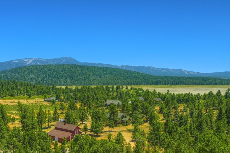 Local Ceiling Smoothing Service in Big Bear City, CA