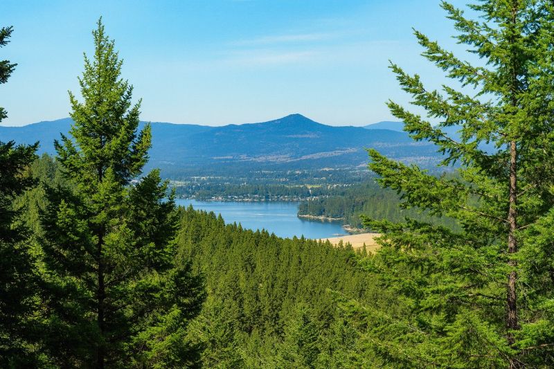 Local Countertop Painting in Liberty Lake, WA