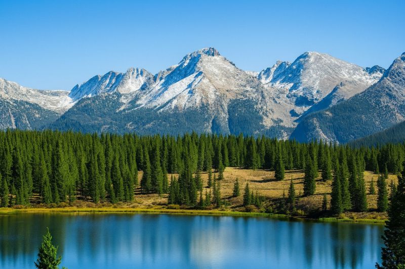 Local Interior Painting Service in Lafayette, CO