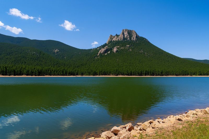 Local Multiple Rooms Painting in Wellington, CO