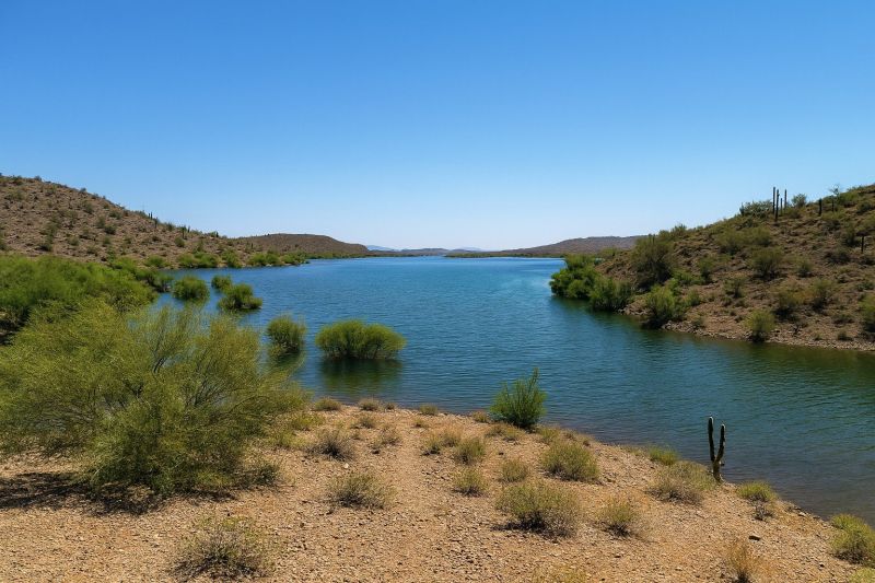 Local Multiple Rooms Painting in New River, AZ