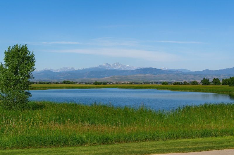 Local Multiple Rooms Painting in Timnath, CO